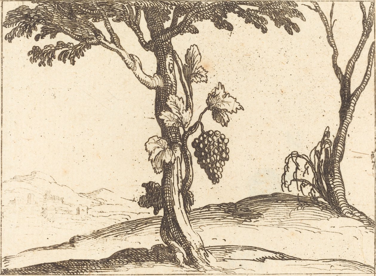 Klase druer af Jacques Callot