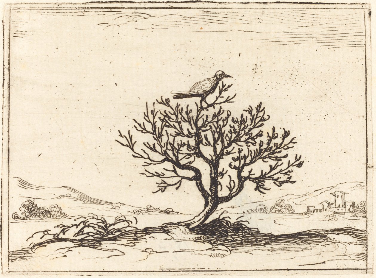 Nattergal i en busk af Jacques Callot