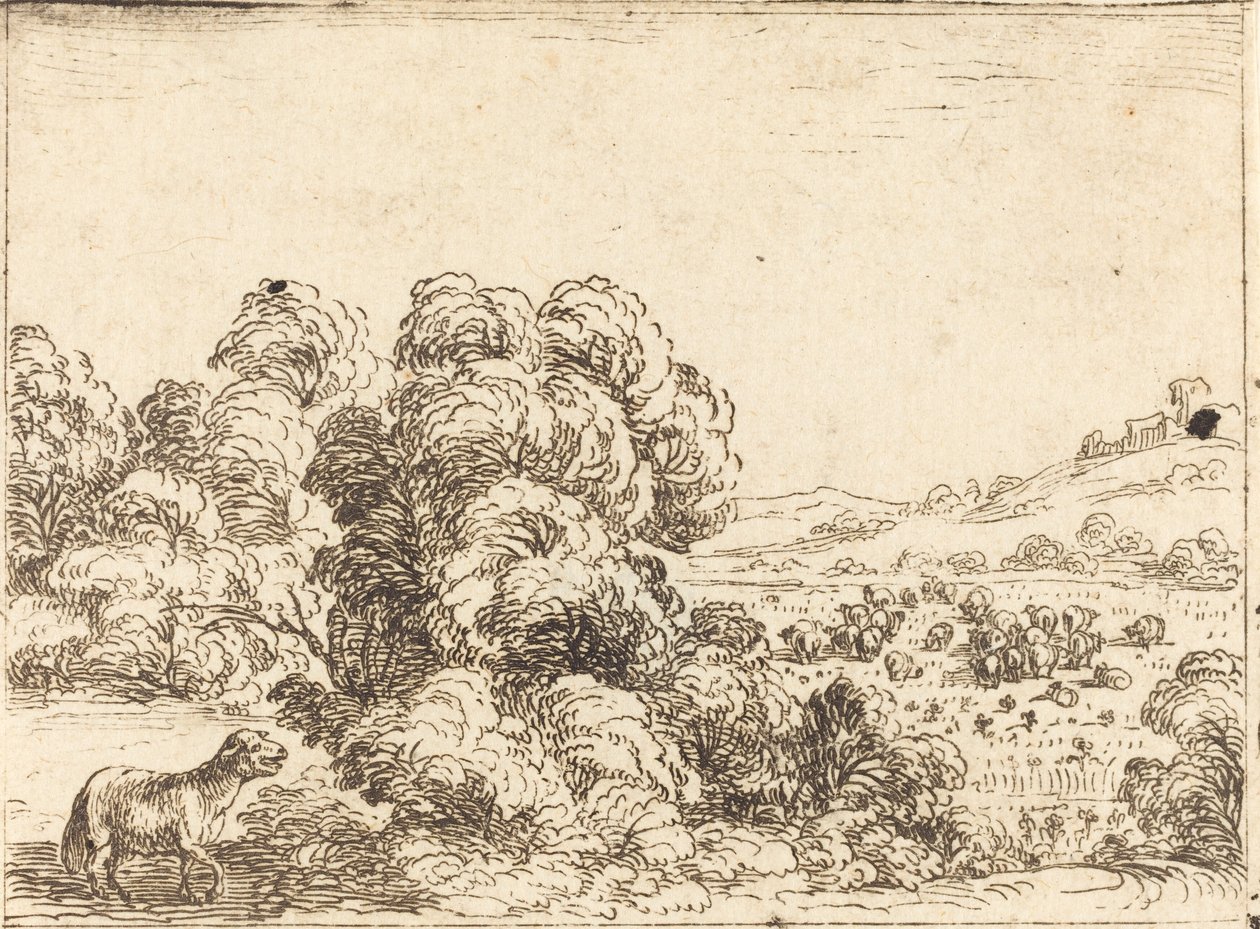 Får kalder lam af Jacques Callot