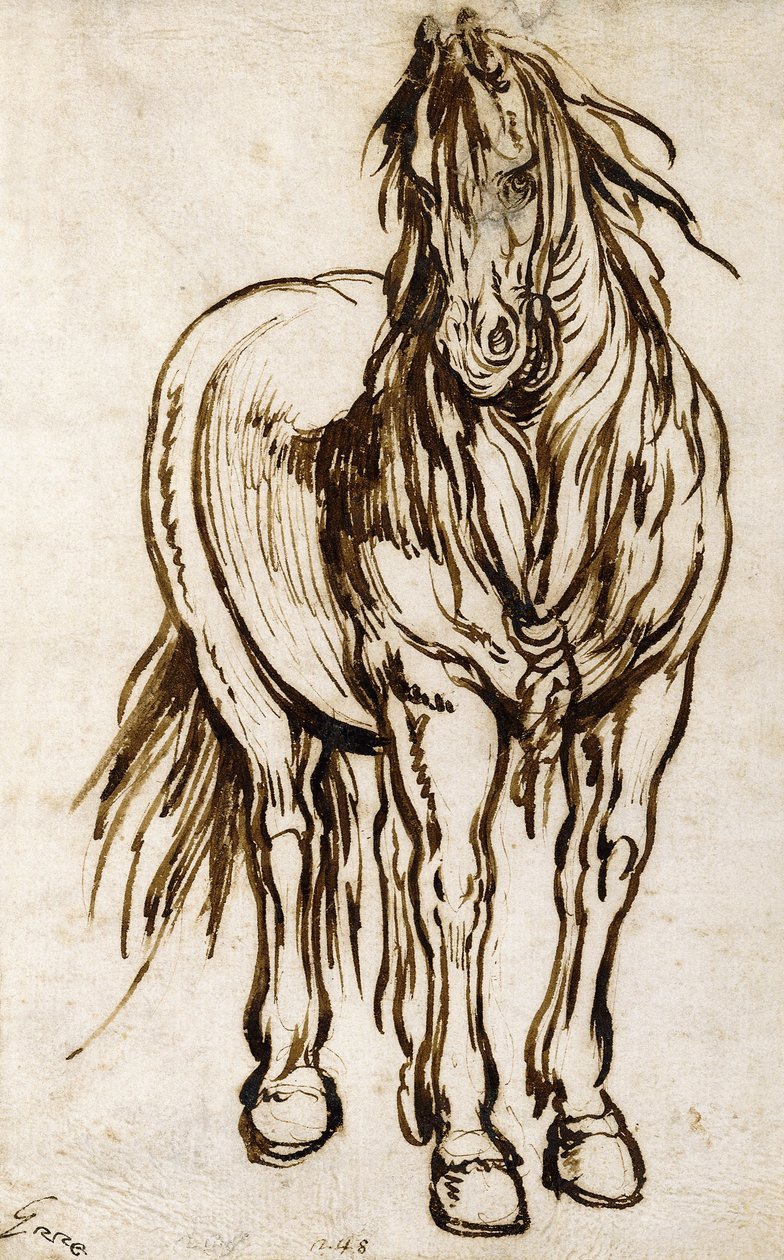 Studie af en hest, af Jacques Callot
