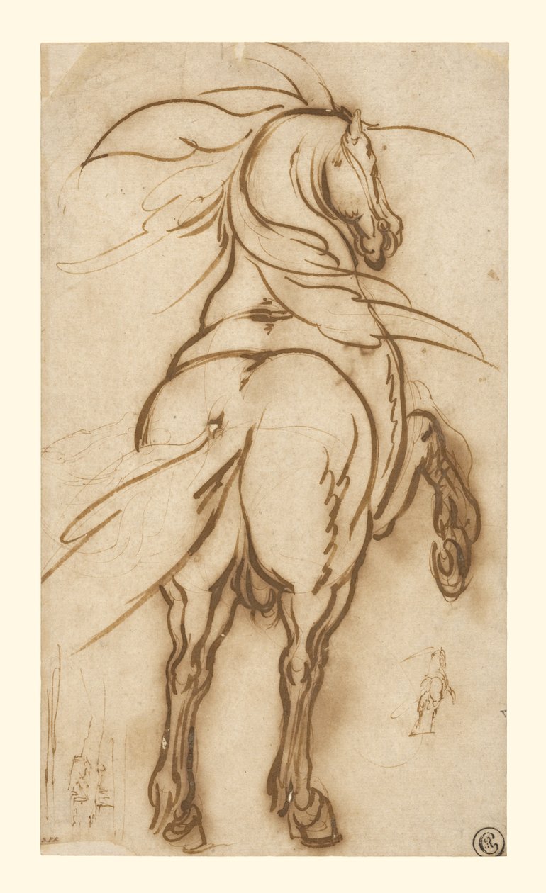 Studie af en opdrættet hest af Jacques Callot
