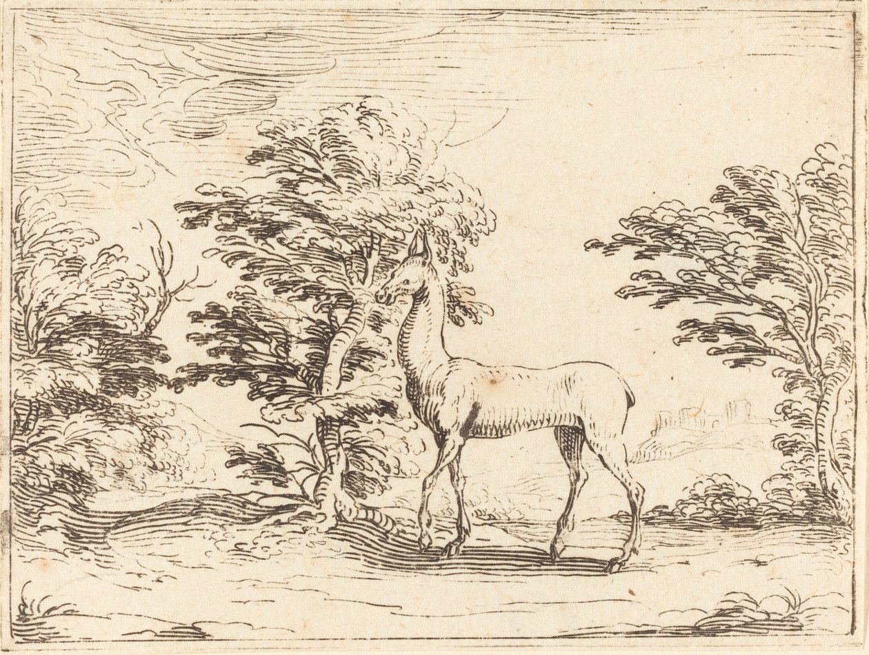 Doe. af Jacques Callot