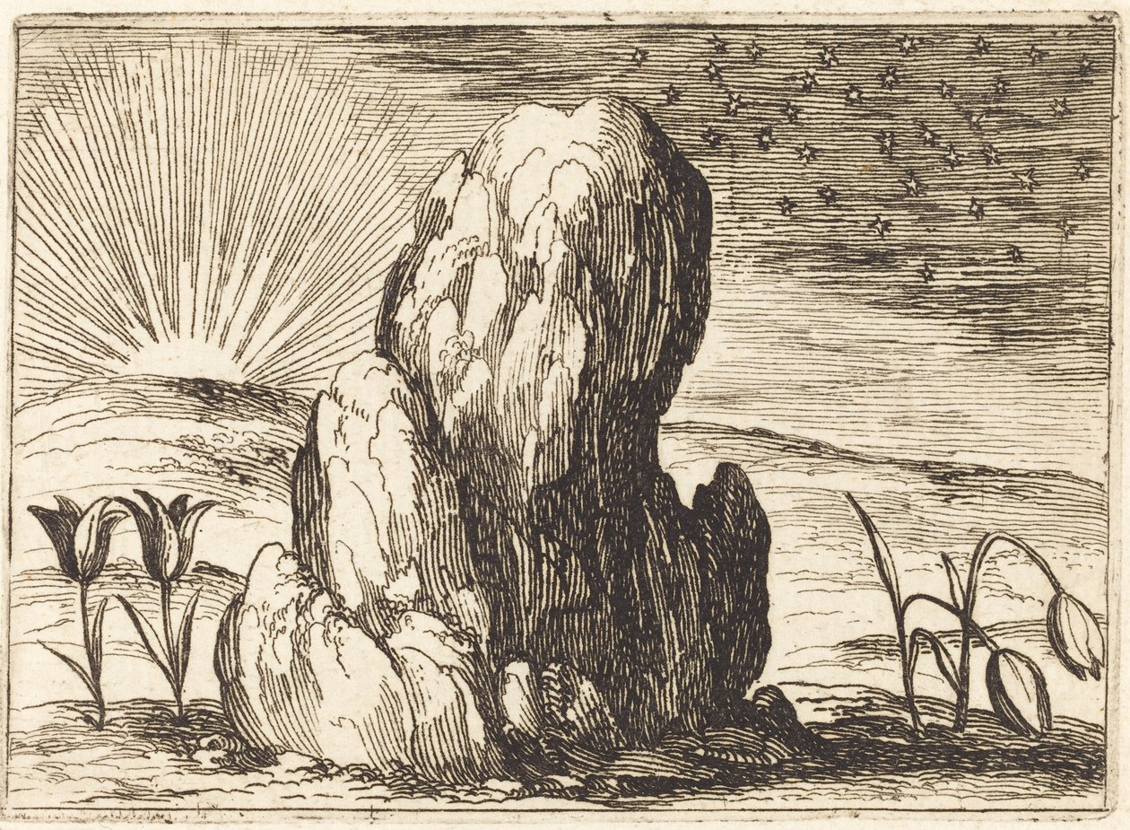 Tulipanerne og Solen af Jacques Callot