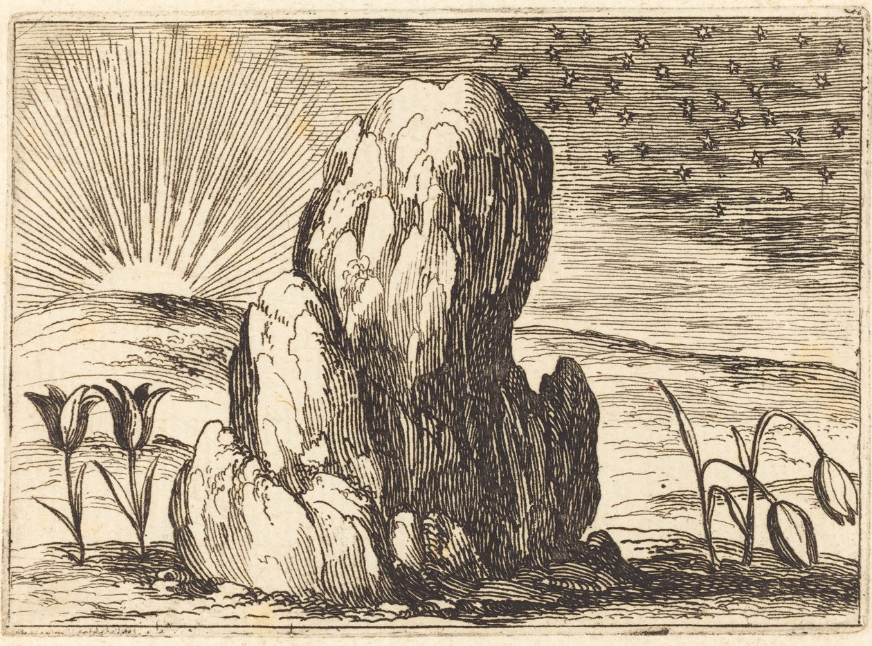 Tulipanerne og solen, 1628. af Jacques Callot