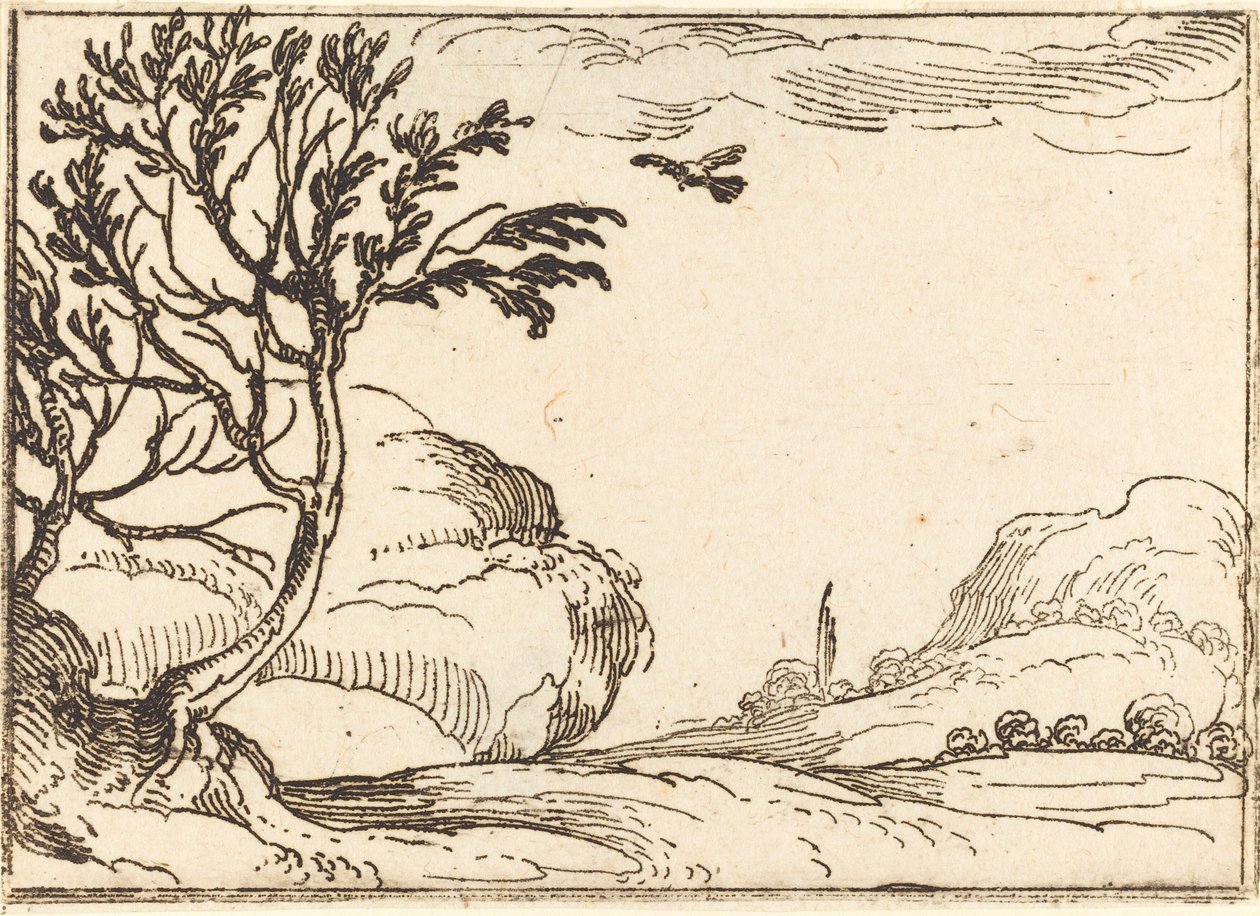 Turteldue, der flyver i ørkenen af Jacques Callot