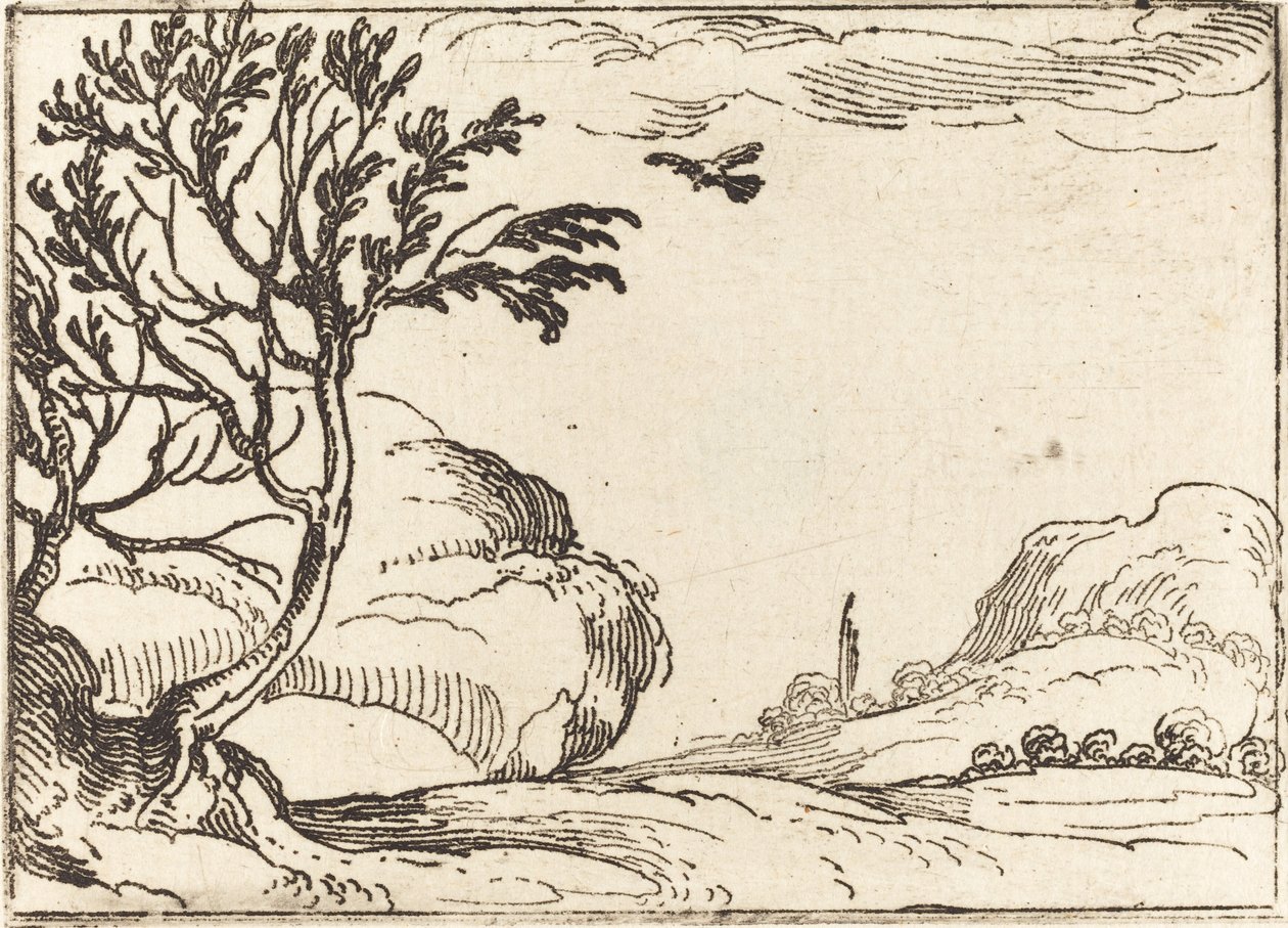 Turteldue, der flyver i ørkenen af Jacques Callot