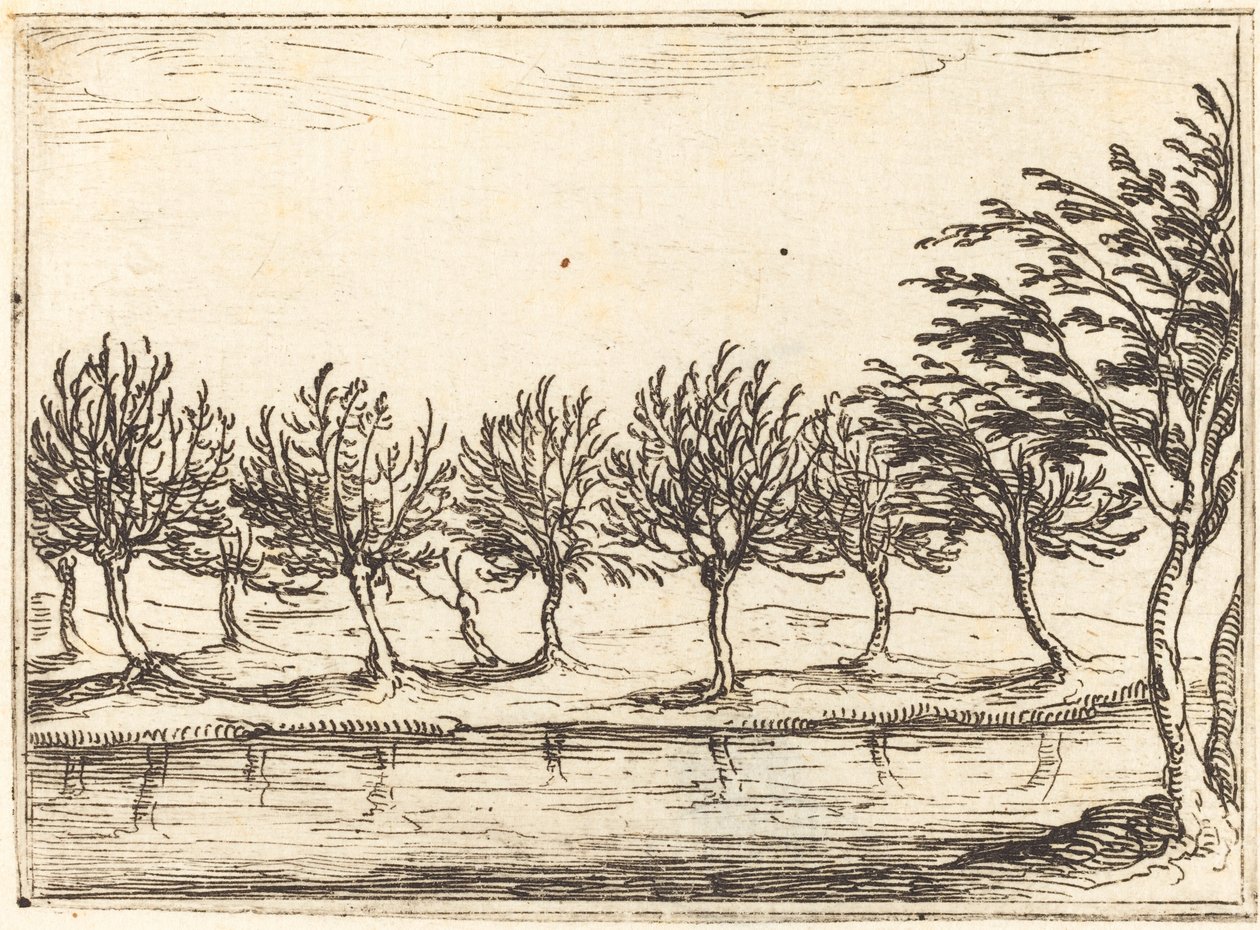 Piletræer ved vandkanten, 1628. af Jacques Callot