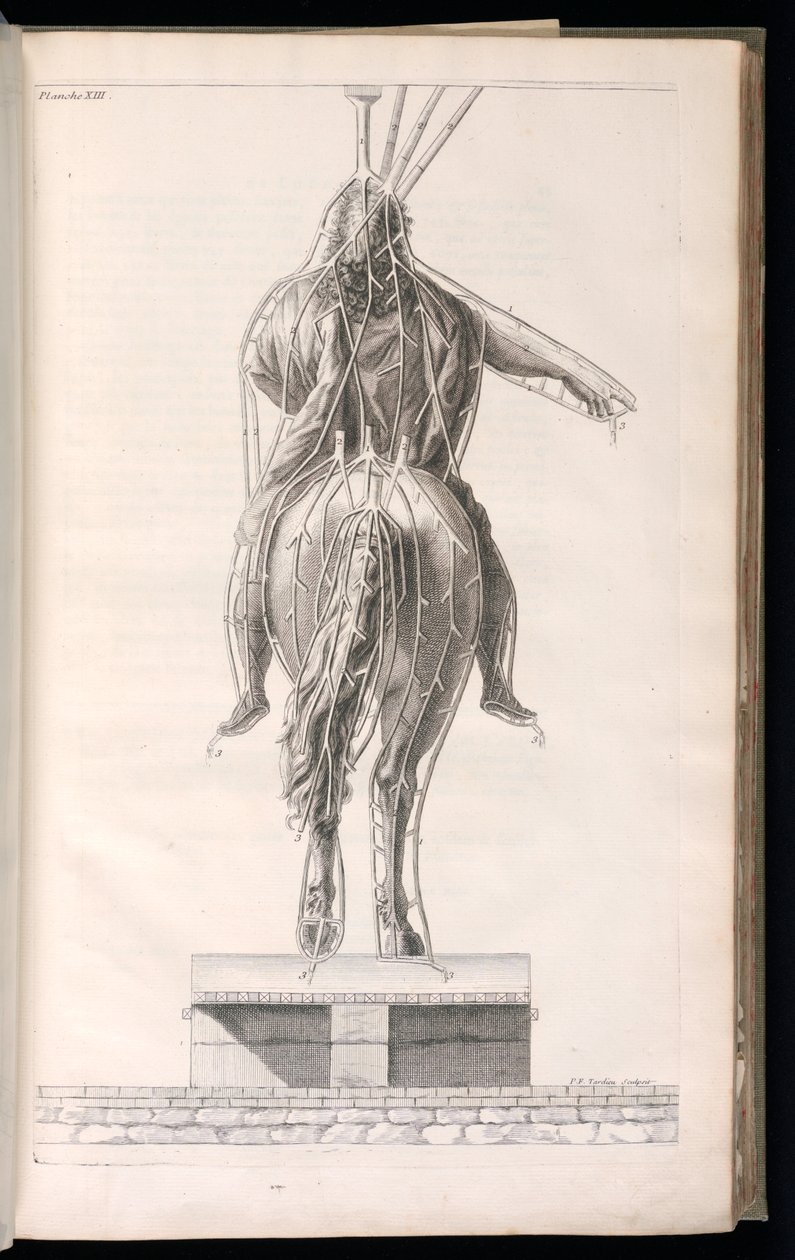 Indbundet tryk (Frankrig) af Jacques François Blondel