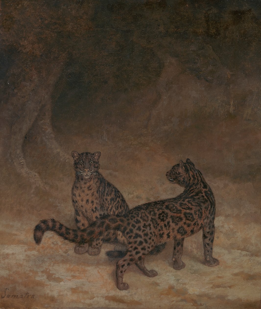 Skyede leoparder af Jacques Laurent Agasse