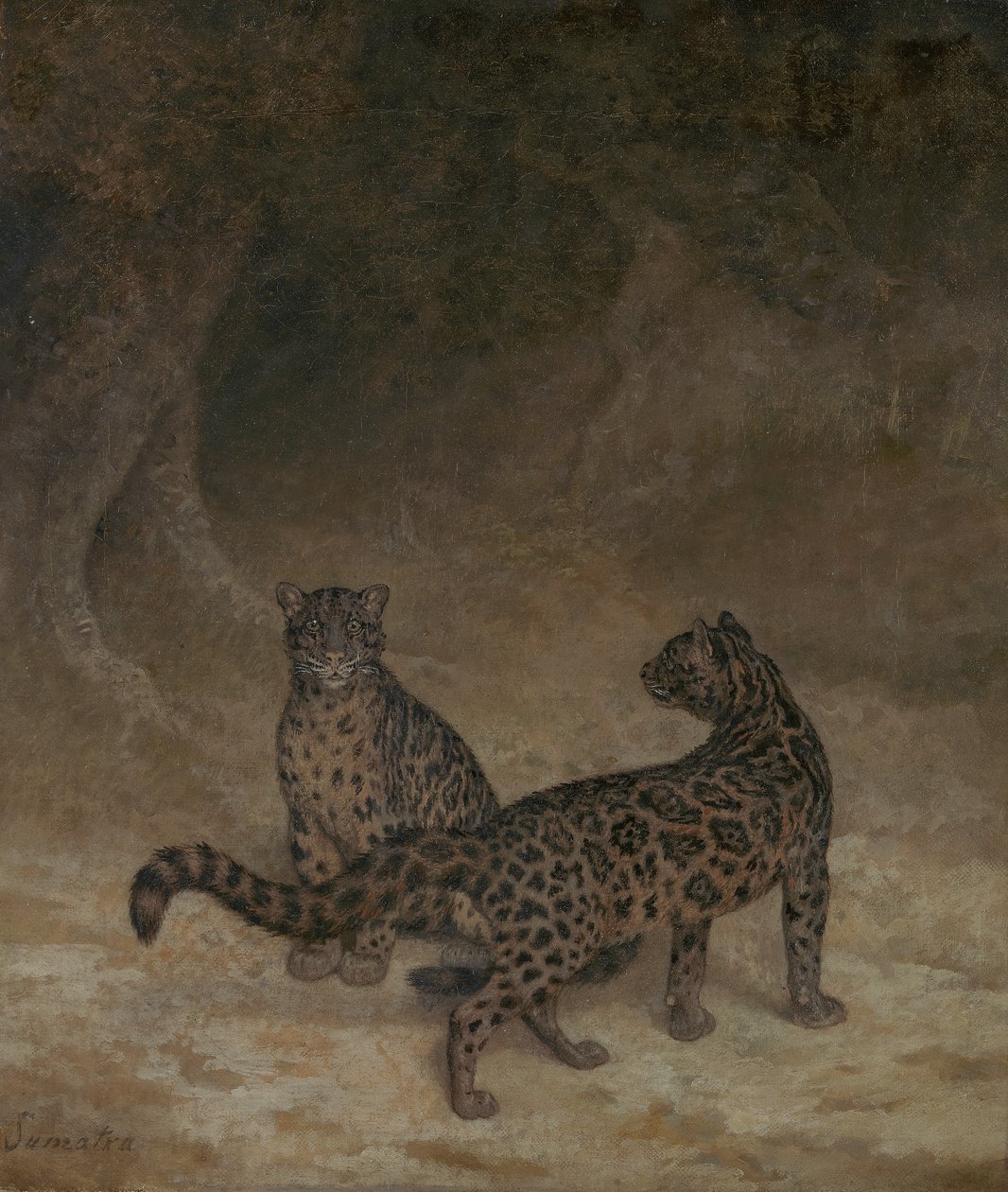 Skyede leoparder, ca. 1825 af Jacques Laurent Agasse