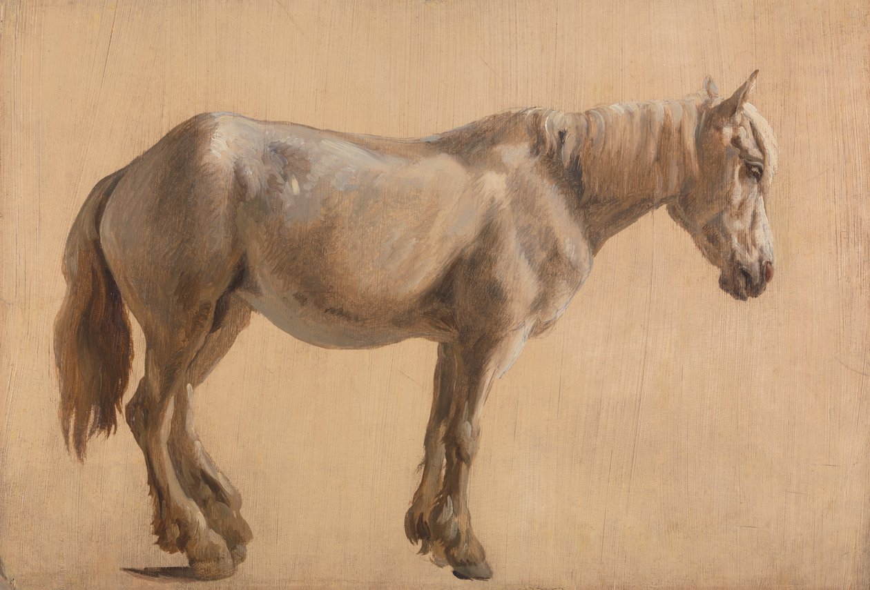 Studie af en grå hest af Jacques Laurent Agasse