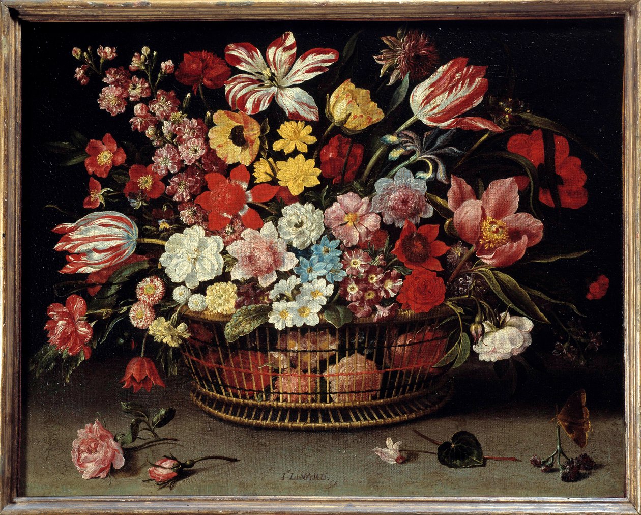 Frugtkurv-maleri af Jacques Linard (1600-1645) af Jacques Linard