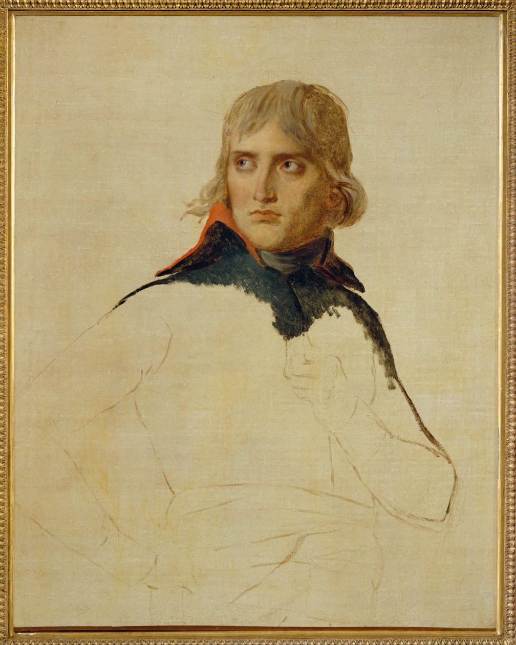 Napoleon Bonaparte ... af Jacques Louis David