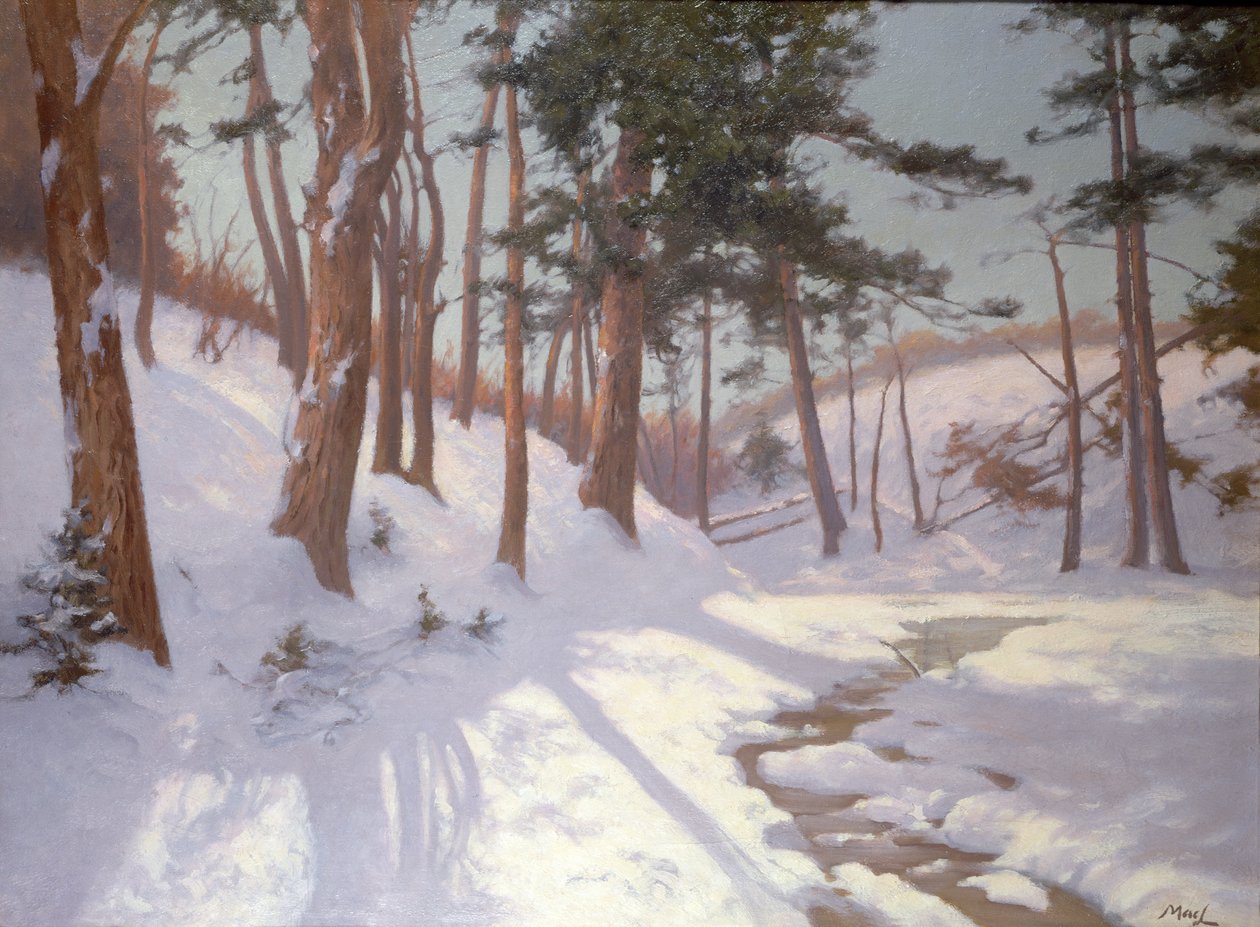 Vinterskov med en bæk af James MacLaren