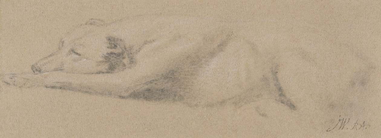 Studie af en sovende hund (sort kridt på buff-papir) af James Ward