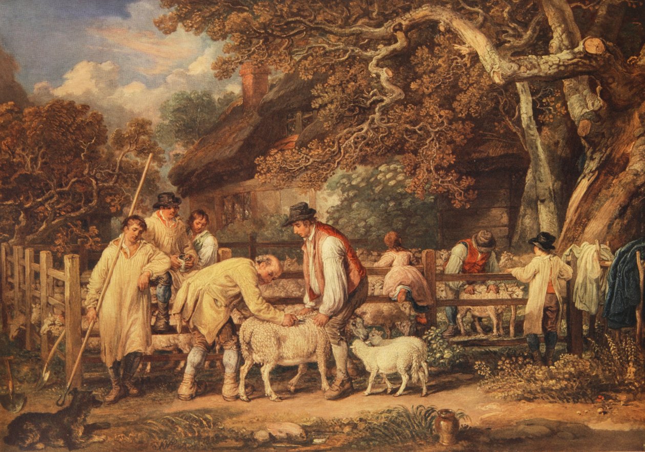 Fåreklipning, ca. 1820 (farve litho) af James (after) Ward