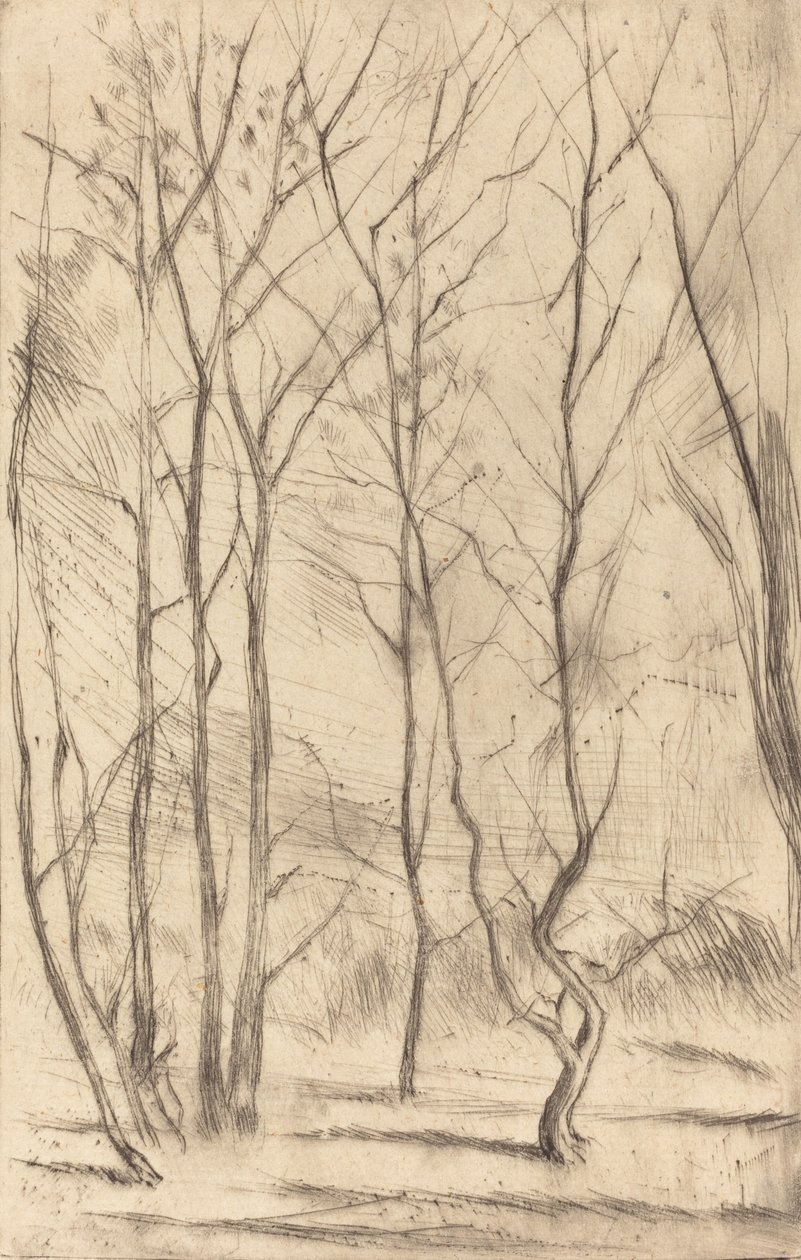 The Dam Wood, 1875. af James Abbott McNeill Whistler