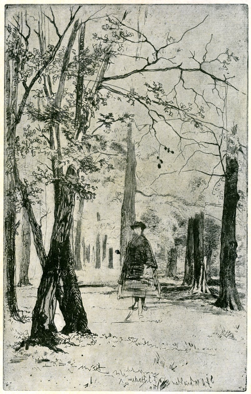 The Wood, 1800-tallet 1904. af James Abbott McNeill Whistler