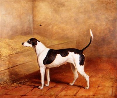Hunden 