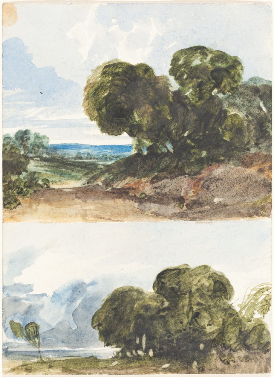 To skitser af træer. af James Bulwer