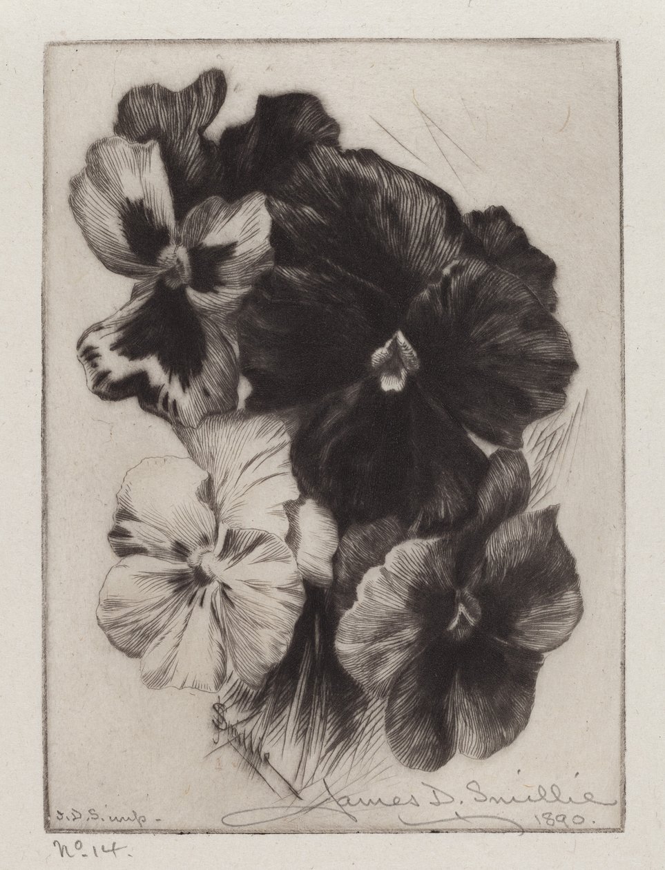 En flok stedmoderblomster af James David Smillie
