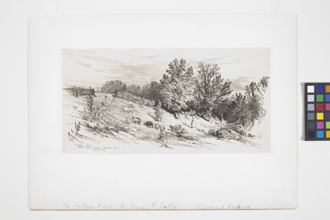 En brakmark (blæk) af James David Smillie