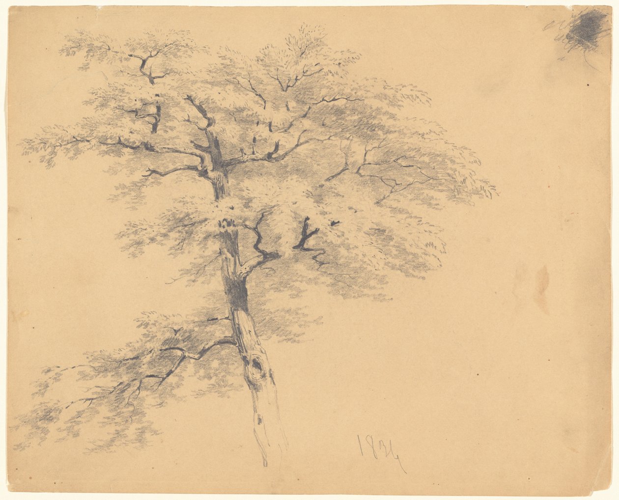 Træ af James Goodwyn Clonney