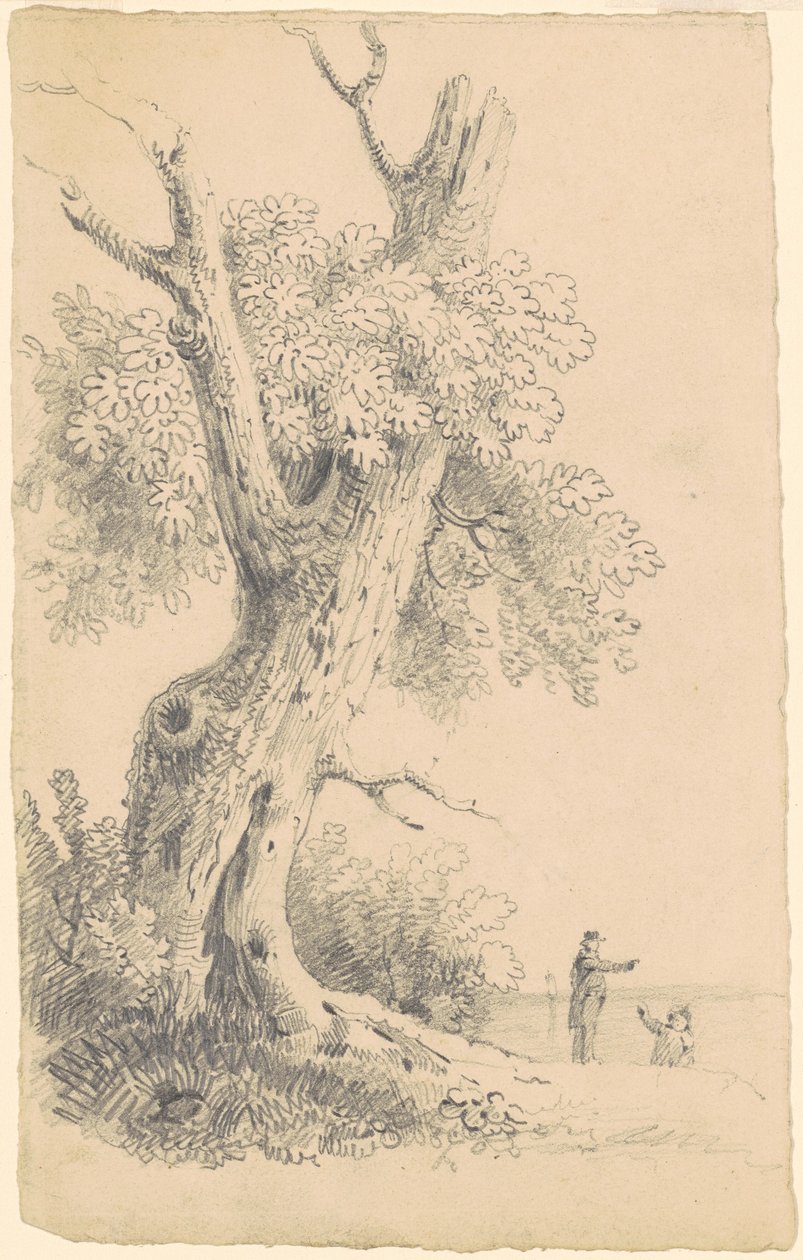 Træ nær kysten af James Goodwyn Clonney