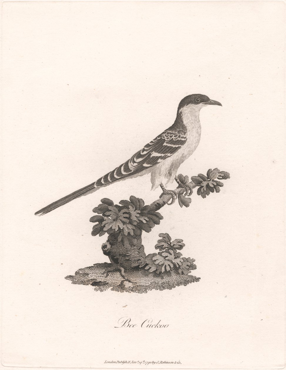 Bee Gøg af James Heath