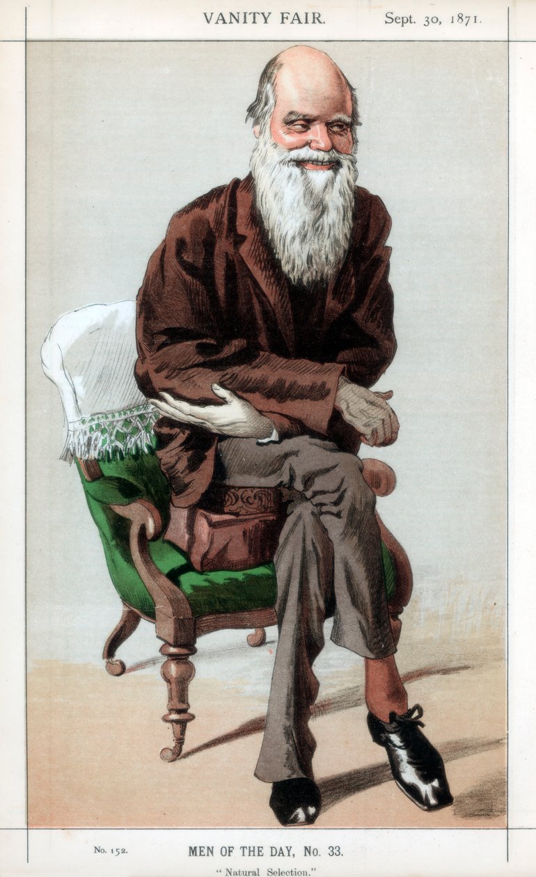 Naturligt udvalg, 1871. af James Jacques Joseph Tissot