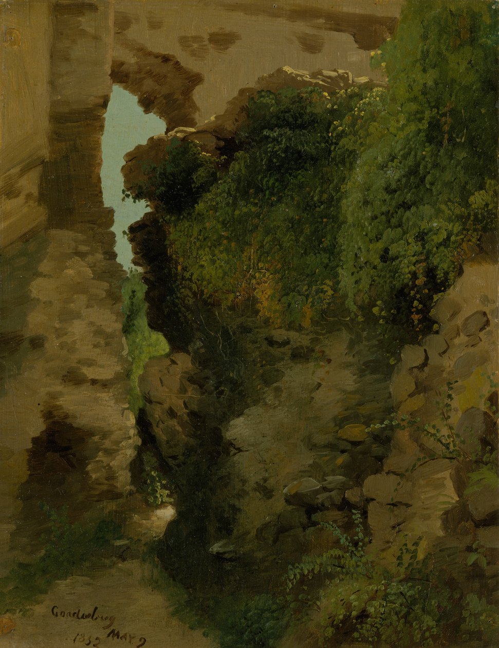 Godesberg, 1852. af James McDougal Hart