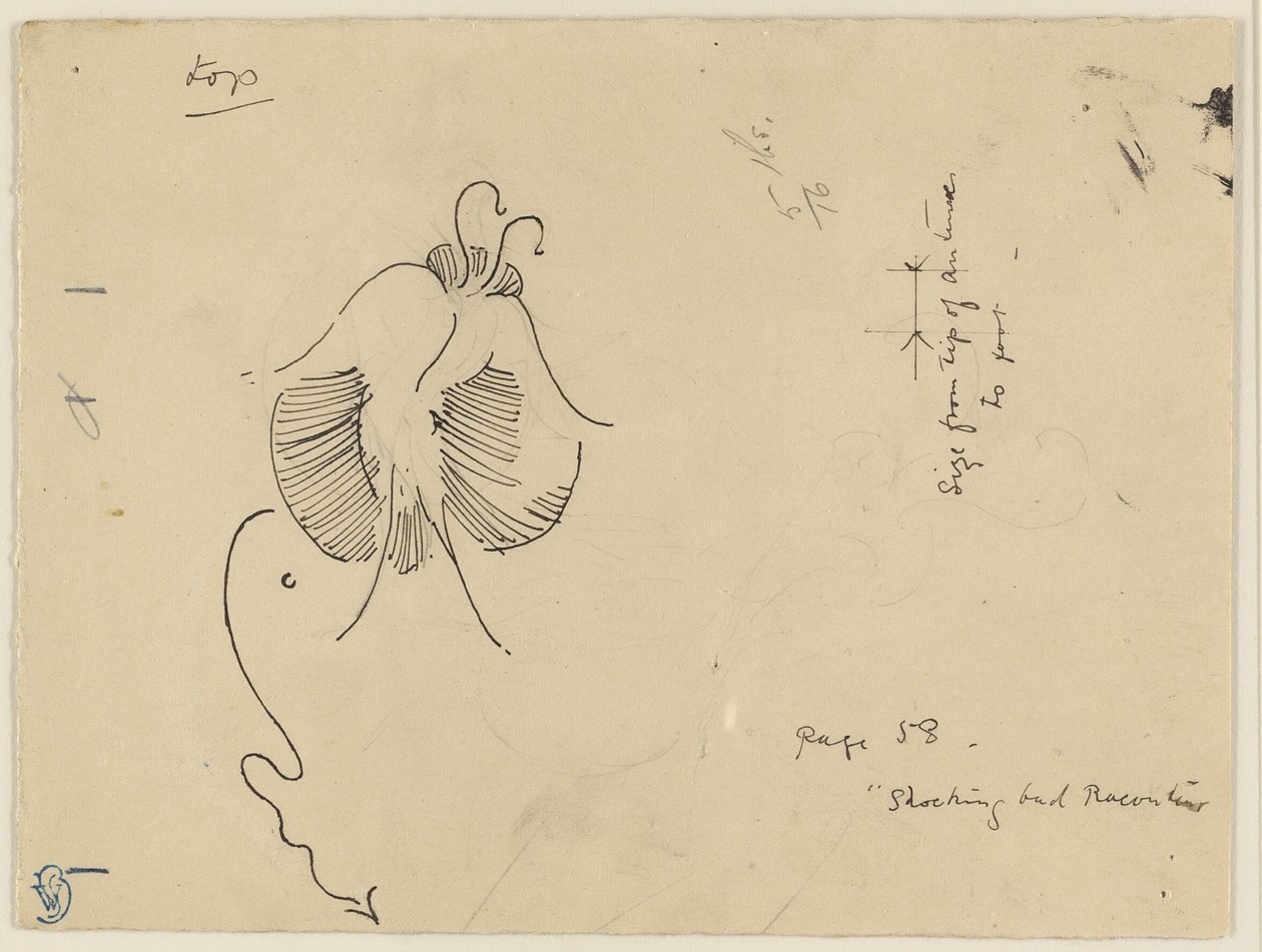 Sommerfugl (recto); Fragment af sommerfugl (verso) af James McNeill Whistler