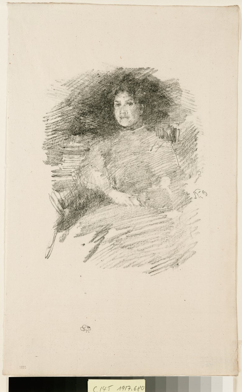 Ildlys af James McNeill Whistler