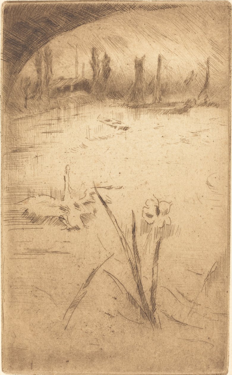 Swan og Iris af James Abbott McNeill Whistler
