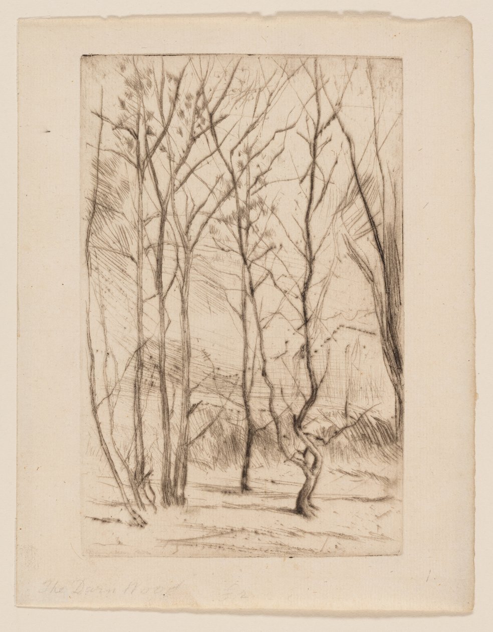 Dæmningsskoven af James Abbott McNeill Whistler