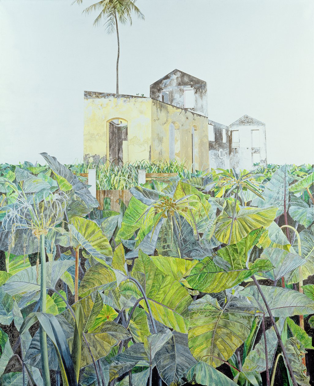 Ruin in a Swamp, Haiti, 1971 af James Reeve