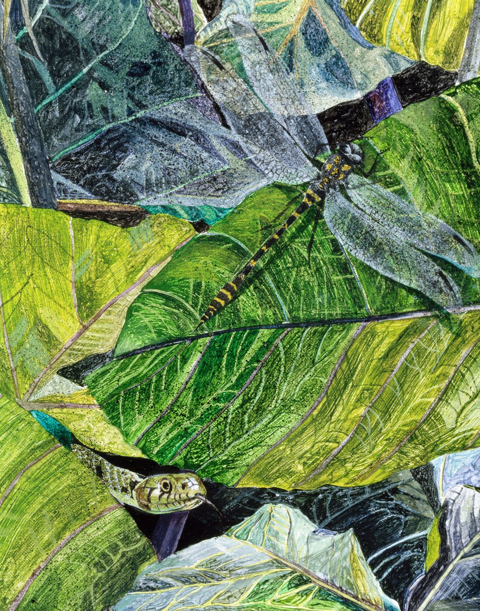 Water Snake and Dragon-fly, 1971 af James Reeve