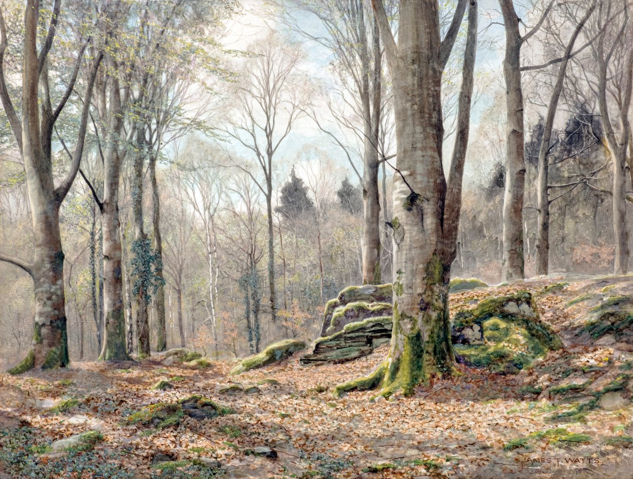 En walisisk skov (akvarel) af James Thomas Watts