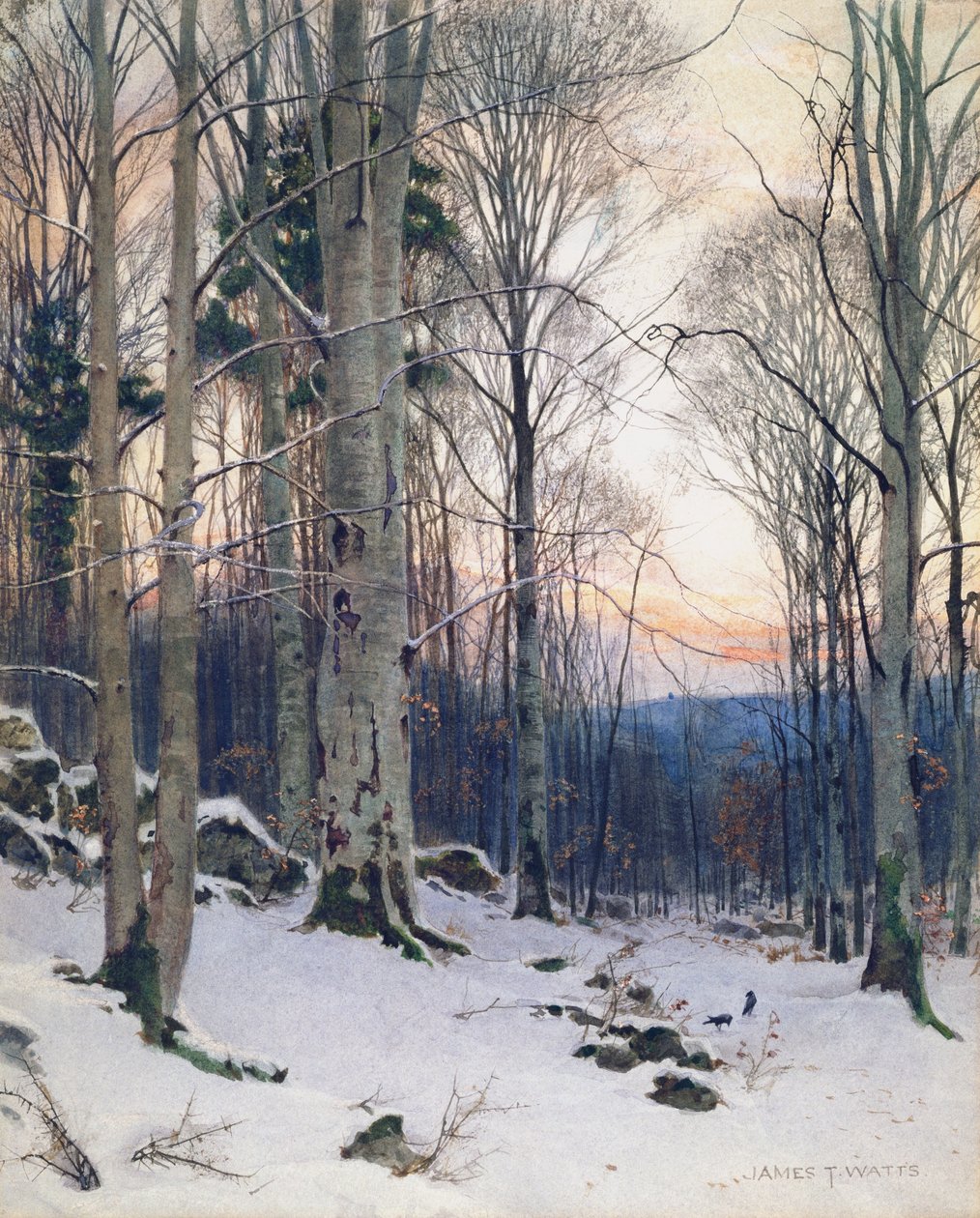 Twilight, Beech Woods (wc) af James Thomas Watts