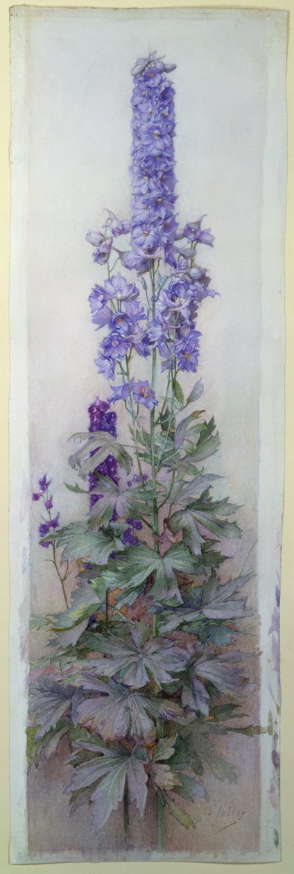 Delphiniums af James Valentine Jelley