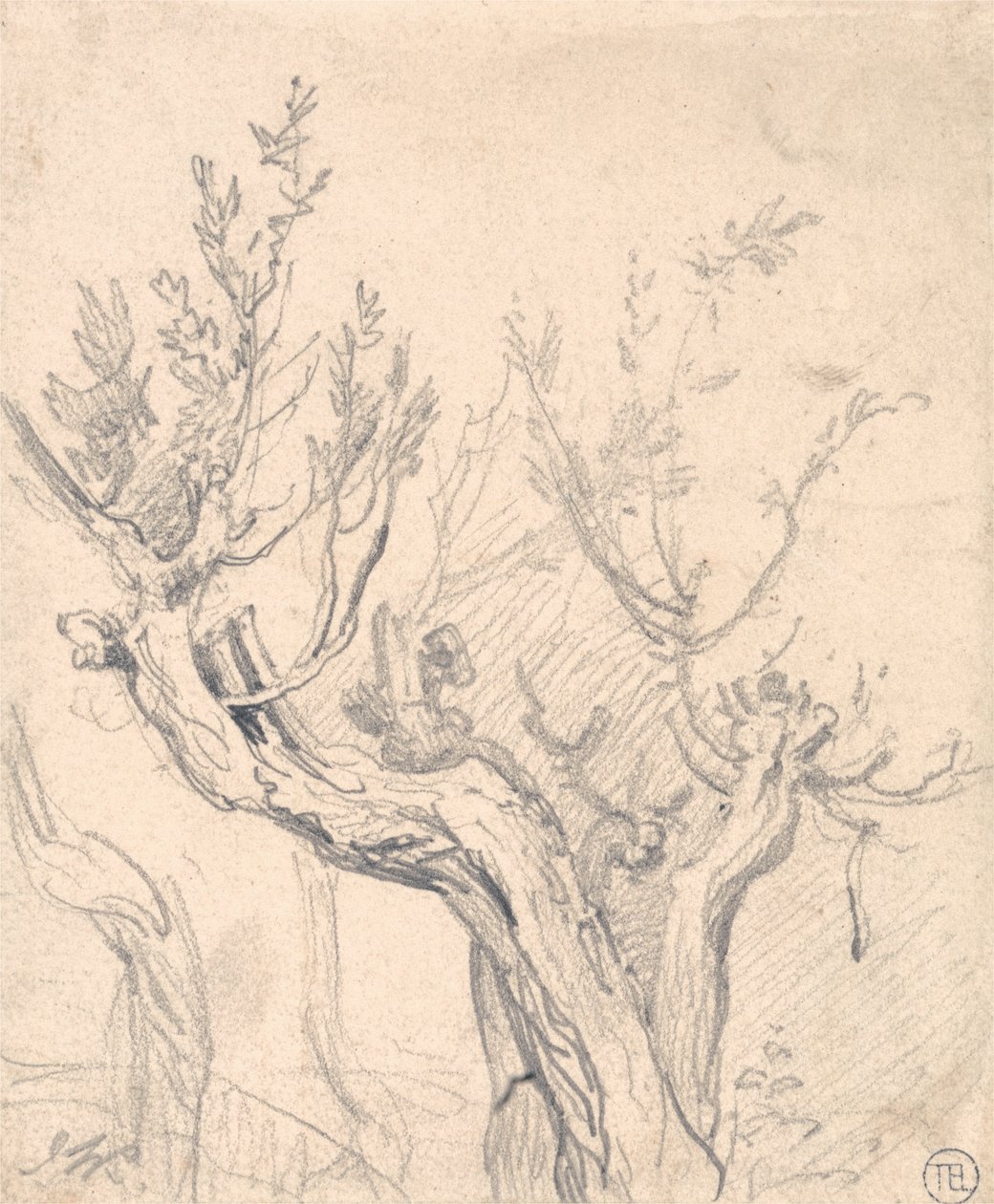 Et knudret træ af James Ward
