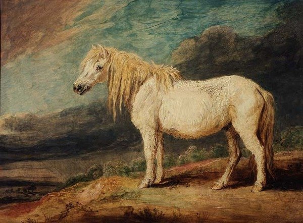 Shetlandspony af James Ward
