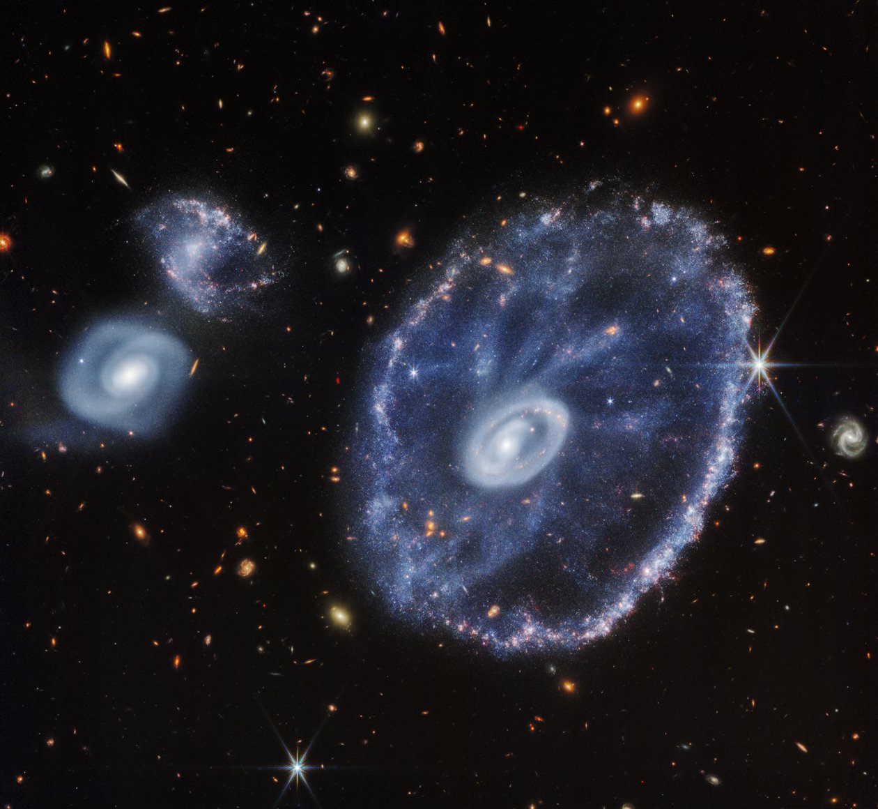 Cartwheel Galaxy (kun NIRCam) af James Webb Space Telescope (NASA)