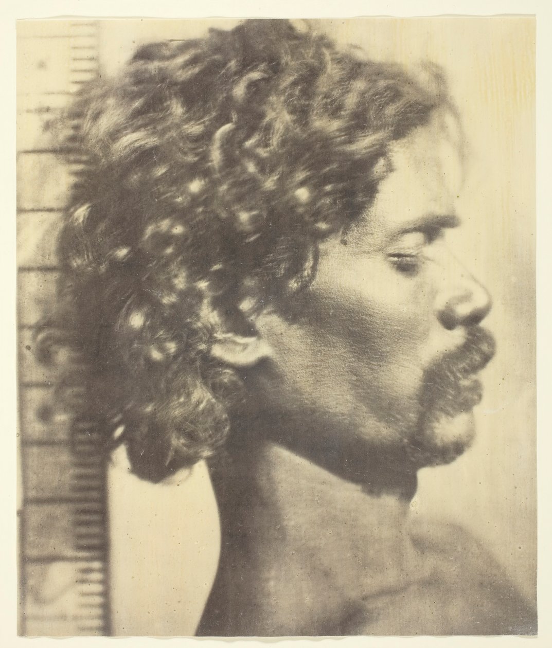At være mand, 1873. af James Wilkinson Breeks