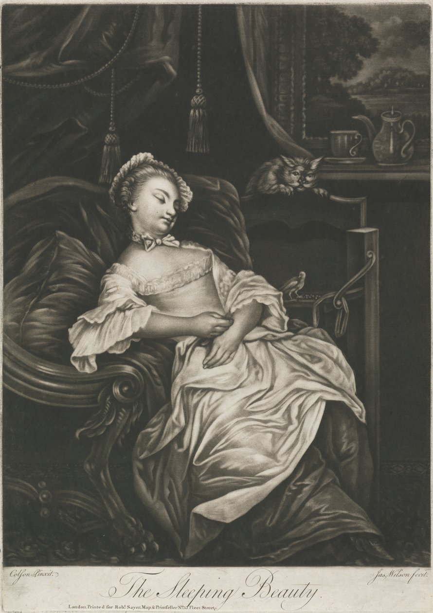 Tornerose af James Wilson