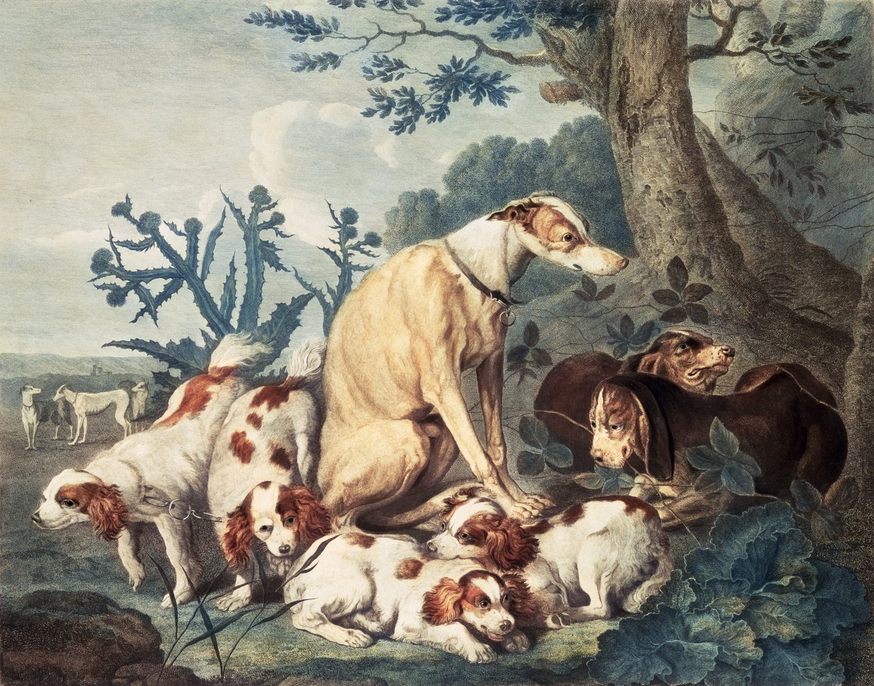 Portrætter af hunde, indgraveret af Daniel Lerpiniere (ca. 1745-85), pub. af John og Josiah Boydell, 1799 (stiklegravering) af Jan Fyt