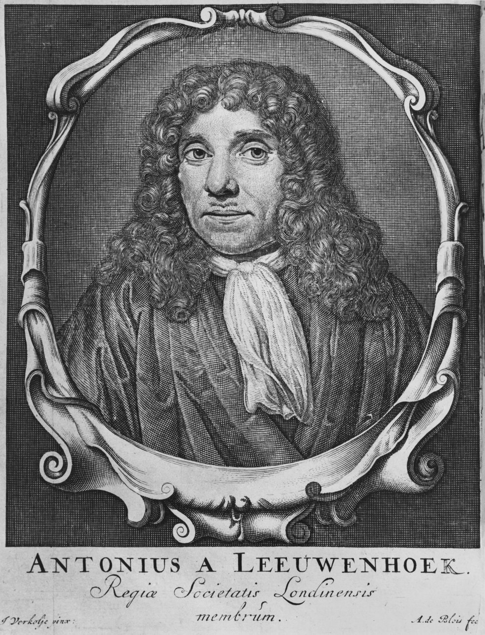 Portræt af Anton Van Leeuwenhoek, illustration fra "Arcania naturae...", graveret af Abraham de Blois (17.-18. århundrede) Leiden, 1722 af Jan Verkolje
