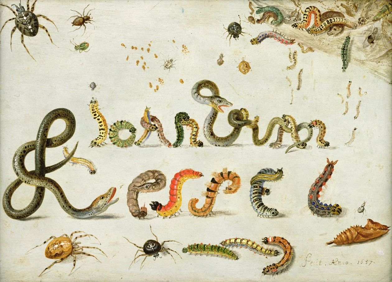Have og andre edderkopper, larver staver kunstnerens navn, 1657 (olie på kobber) af Jan van Kessel the Elder
