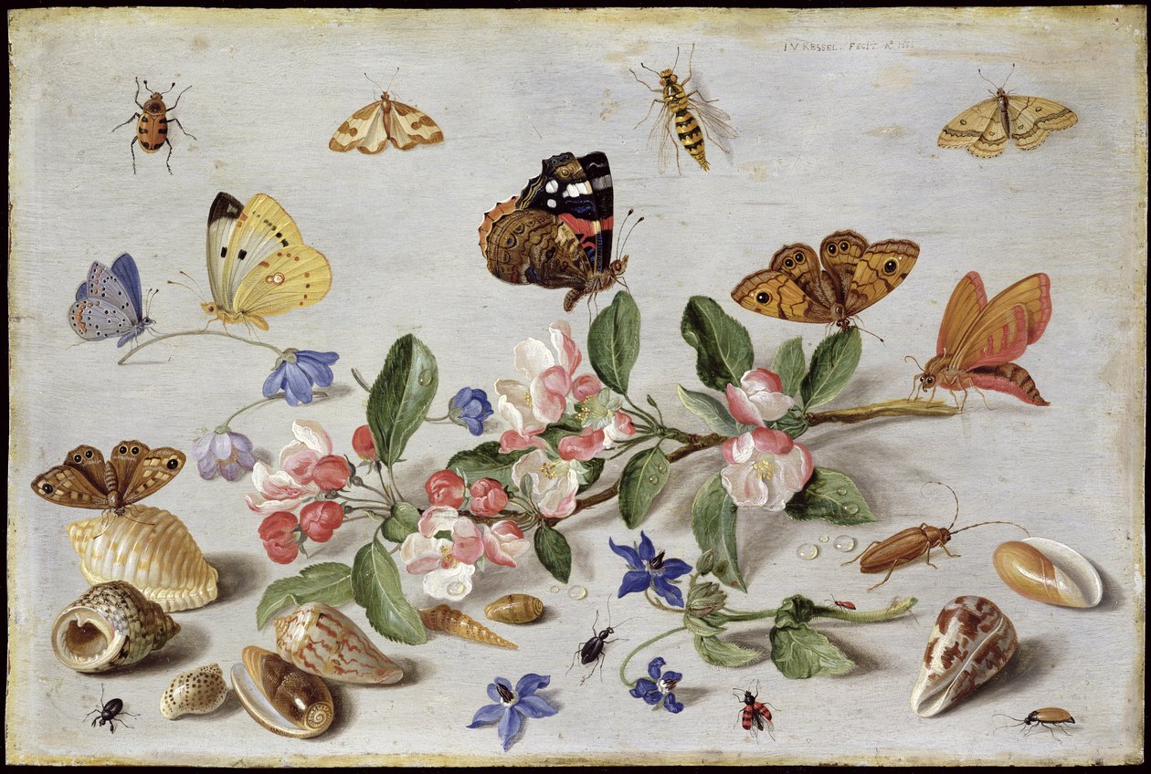 Insekter (olie på kobber) af Jan van Kessel the Elder