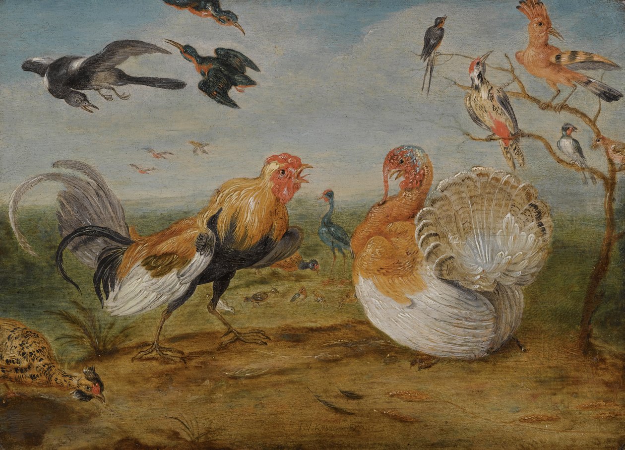 Et landskab med en hane og en kalkun, der snor sig og andre fugle af Jan van Kessel the Elder